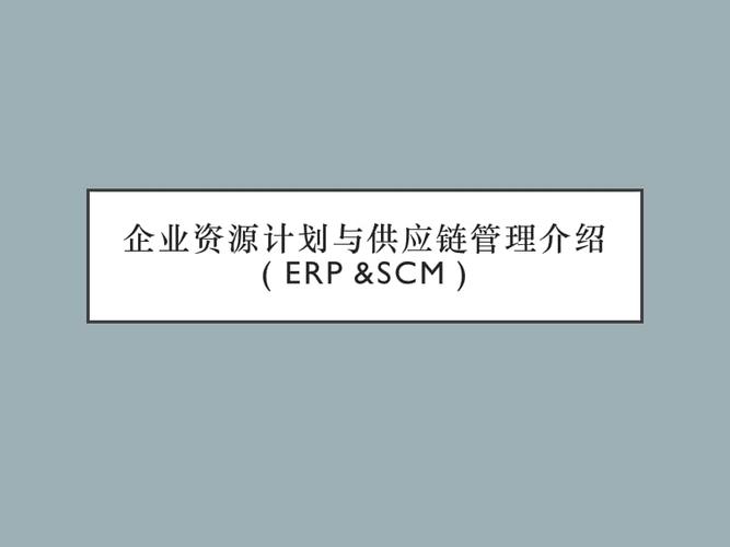 企业资源计划与供应链管理介绍( erp &scm ).pptx